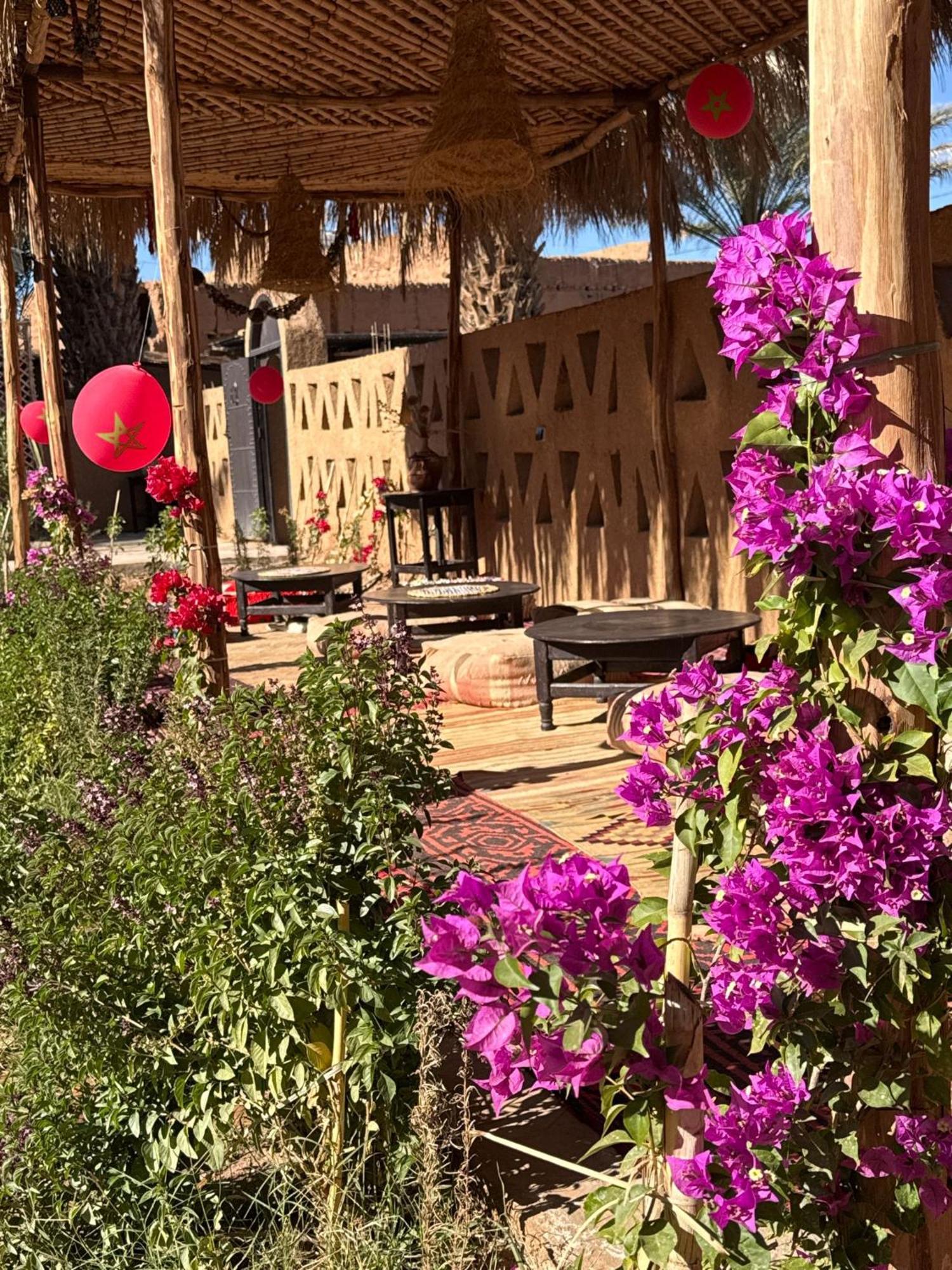 Zagora Oasis Lodge Exteriér fotografie
